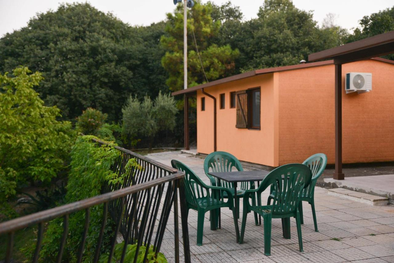 שקודר Village Of Peace - House 39 מראה חיצוני תמונה